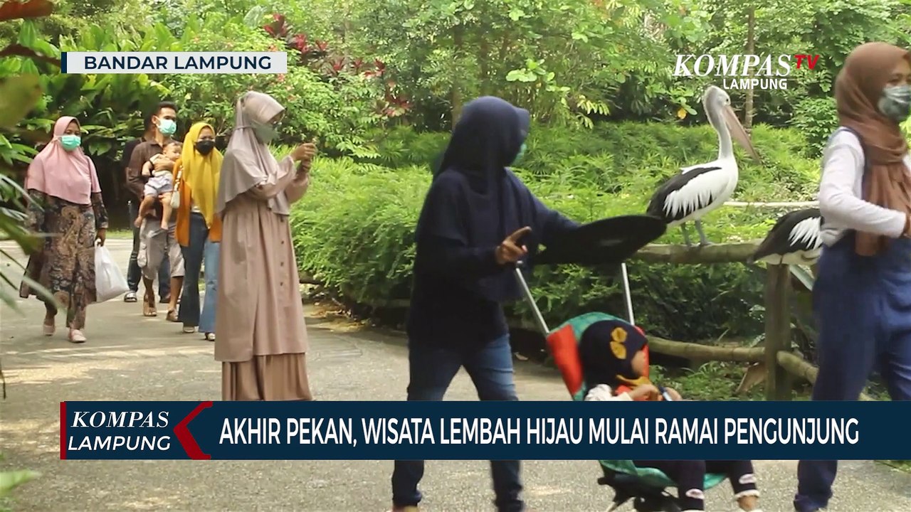 Di Akhir Pekan, Wisata Lembah Hijau Mulai Ramai Pengunjung