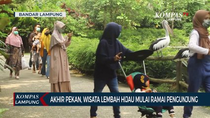Di Akhir Pekan, Wisata Lembah Hijau Mulai Ramai Pengunjung
