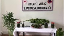 Son dakika haber... KIRKLARELİ - Uyuşturucu operasyonunda 5 kişi yakalandı