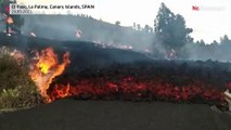 Volcano erupts on Spain's island of La Palma