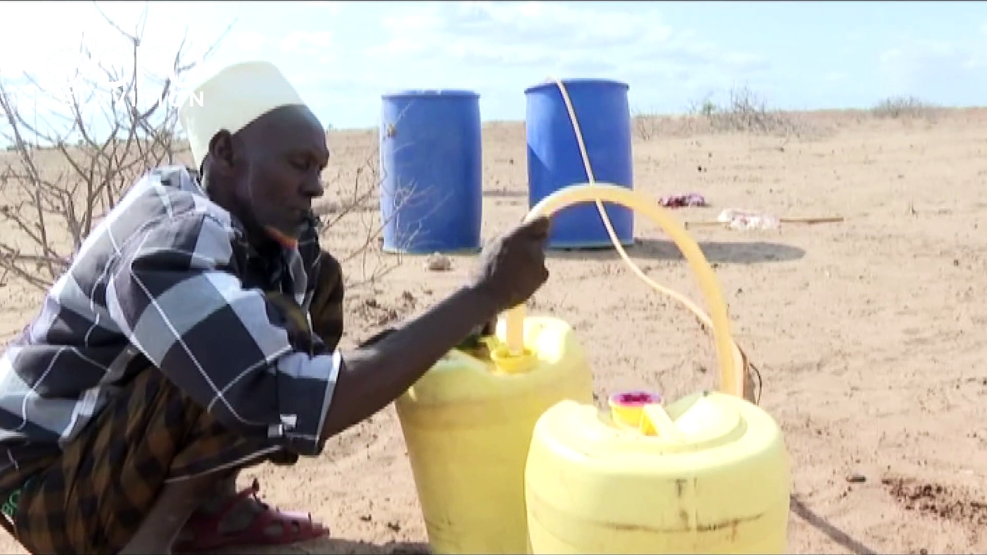 Residents In Habswein, Wajir County Feed Livestock With Foodstuffs