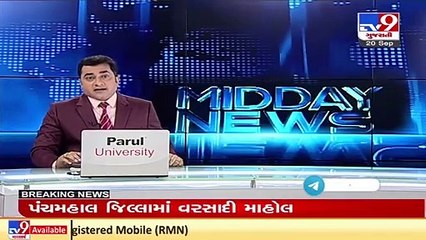 Authority beings survey to measure crop loss due to heavy rains _ Jamnagar _ Tv9GujaratiNews