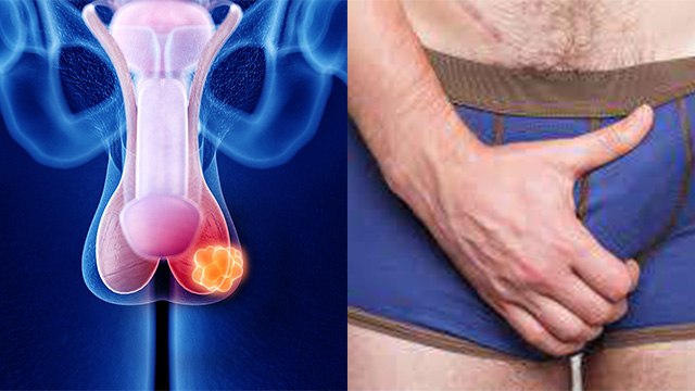 अंडकोष में दर्द क्यों होता है | अंडकोष में दर्द होने का कारण | Andkosh Me Dard Kyu Hota Hai |Boldsky