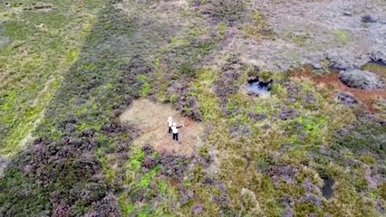 BILSDALE MAST: Protecting the environment