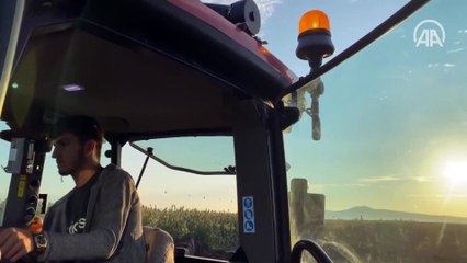 Kahramanmaraşlı çiftçilerin kuşlara karşı traktörleriyle 'akdarı' nöbeti