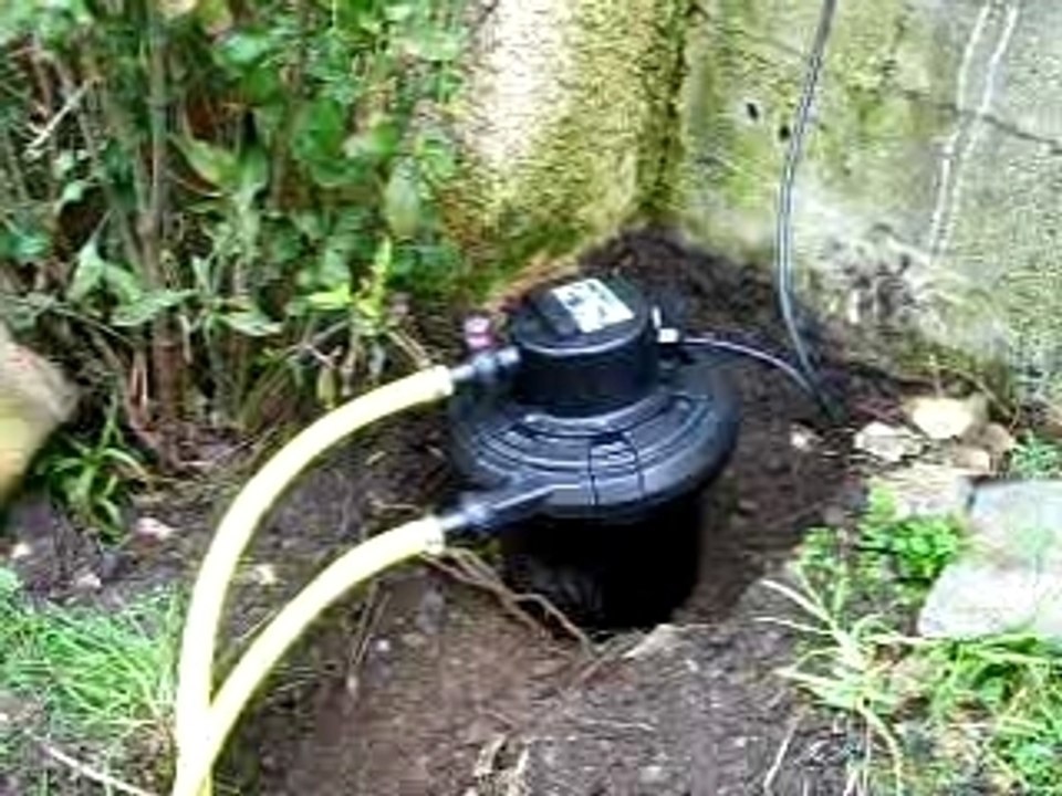 Pompe bassin carpes koi