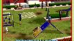 Los Sims Historias de Mascotas: Trailer oficial