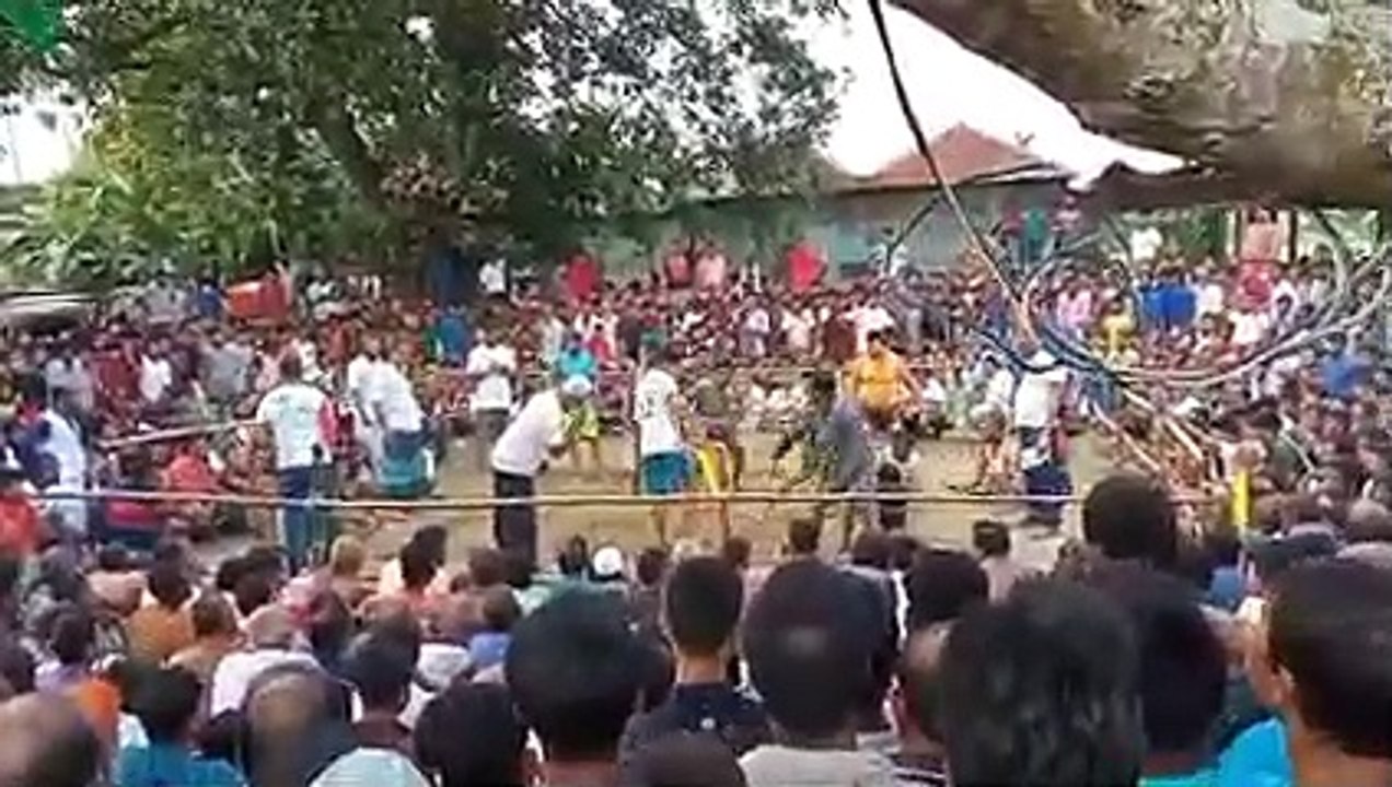 Village fantastic play