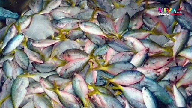 KKP Tangkap Empat Pelaku Pengeboman Ikan di Perairan Selayar