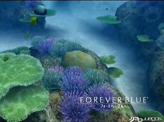 Endless Ocean: Introducción