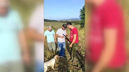 Kuyuya düşen av köpeğini itfaiye ekipleri kurtardı