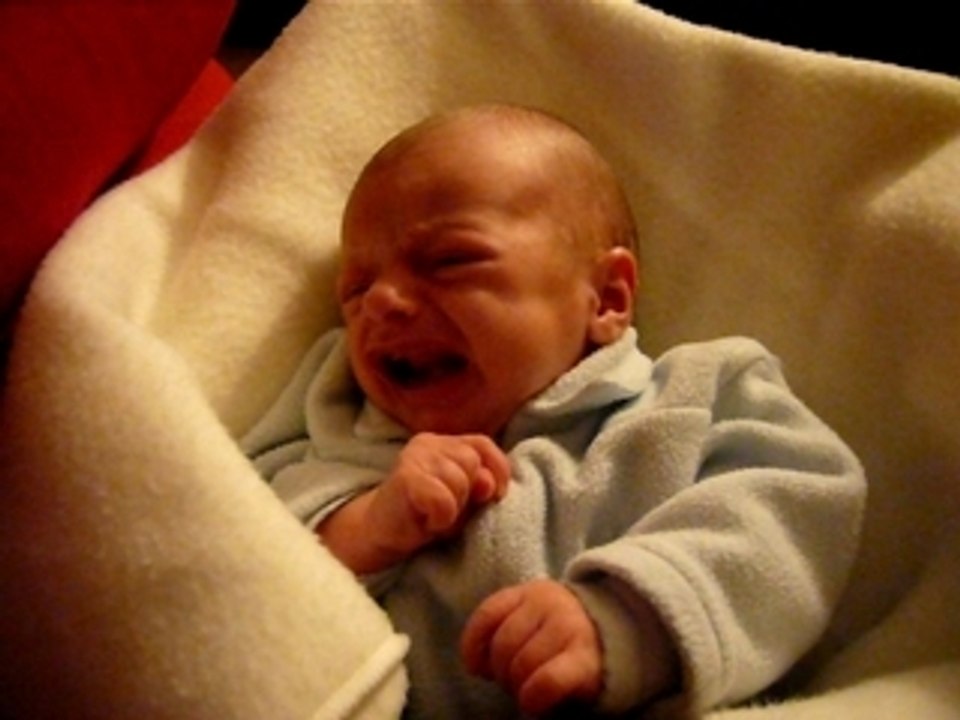 Les parents sadiques (quatrième semaine)