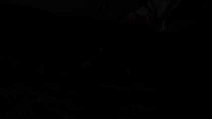 New World: tráiler de la beta abierta