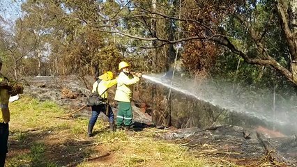 De sábado até hoje, bombeiros registram mais de 600 chamadas de incêndios