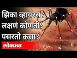 झिका व्हायरसची लक्षणं कोणती? उपचार काय?  Zika virus Symptoms and Treatment । India