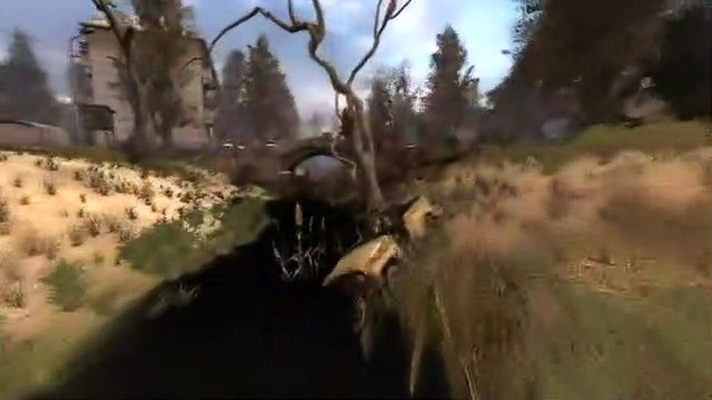 STALKER Clear Sky: Características 2