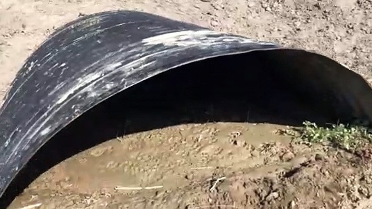 Rescuing a Cow Stuck in a Culvert
