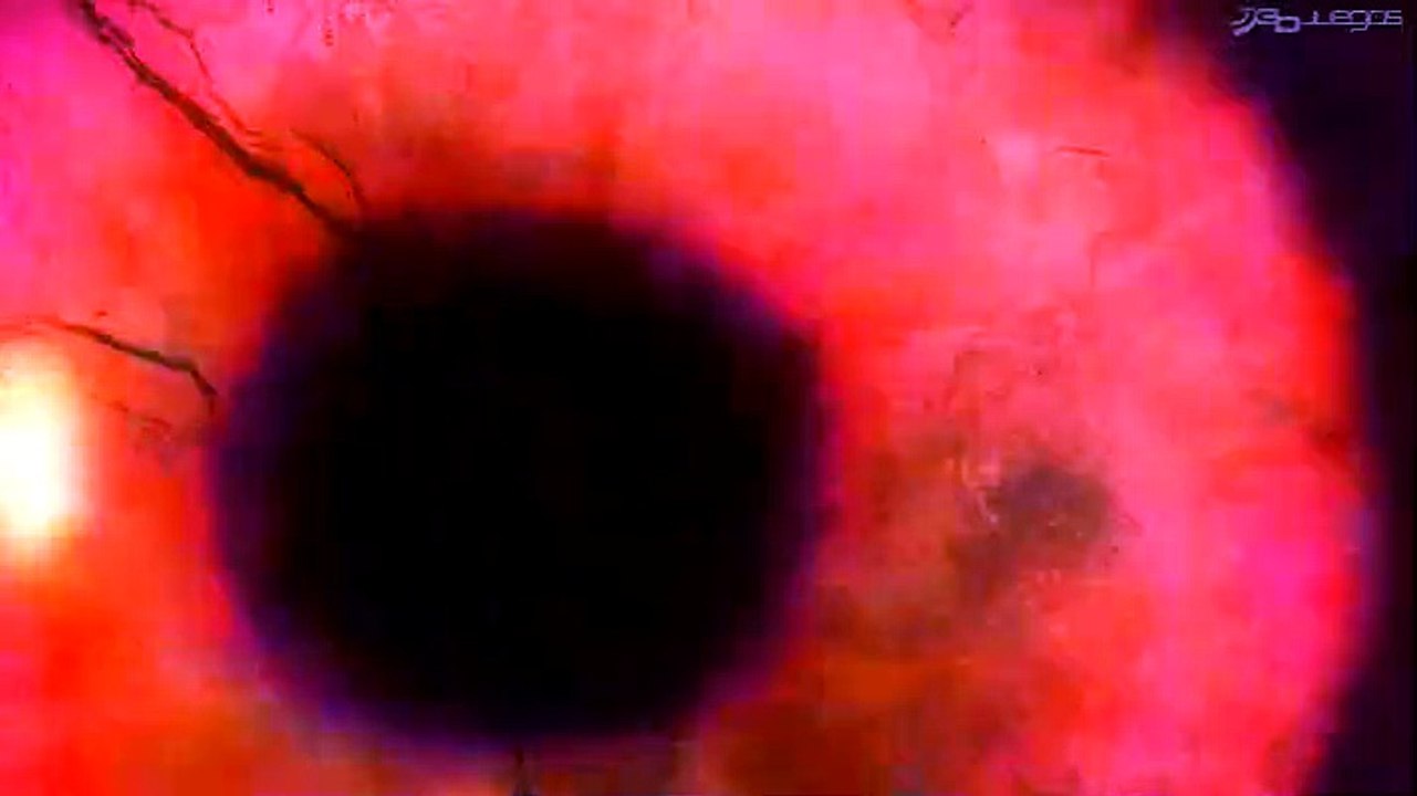 Requiem Bloodymare: Trailer oficial 1