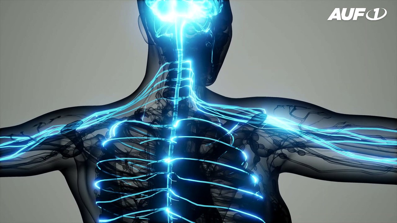 Offizielle deutsche Todesstatistik entlarvt Corona-Schwindel