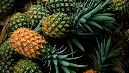 bd-conozca-las-propiedades-de-la-piña-200921