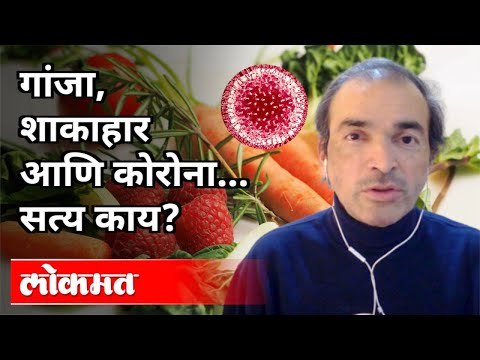 गांजा, शाकाहार आणि कोरोना, सत्य काय? Dr Ravi Godse on Corona Virus | America