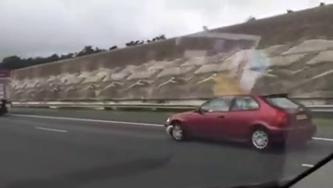 Un pigeon aperçu à plus de 100 km/h sur l'autoroute
