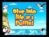 Puffins Island Adventure: Trailer oficial 1