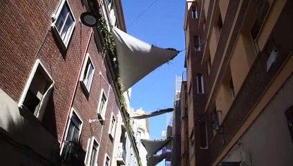 1Toldos vegetales Calle Santa María Valladolid