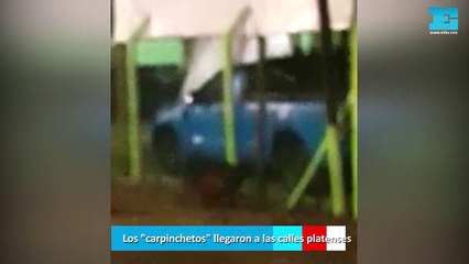 Los "carpinchetos" llegaron a las calles platenses