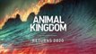 Animal Kingdom - Promo 5x12