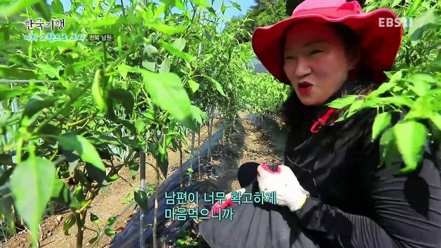 한국기행 - Korea travel_나의 고향으로 오라 2부- 환상의 커플이 산다_#002