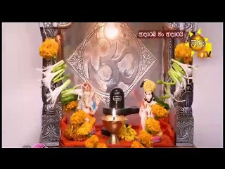 Adarei Man Adarei  Episode 1504
