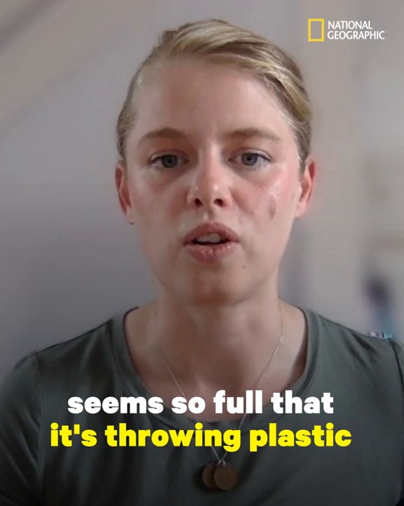 How Microplastics Are Polluting the Environment