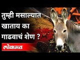 तुम्ही मसाल्यात खाताय का गाढवाचं शेण? Hathras Spice Factory | Donkey Dung Mix In Spices | Lokmat