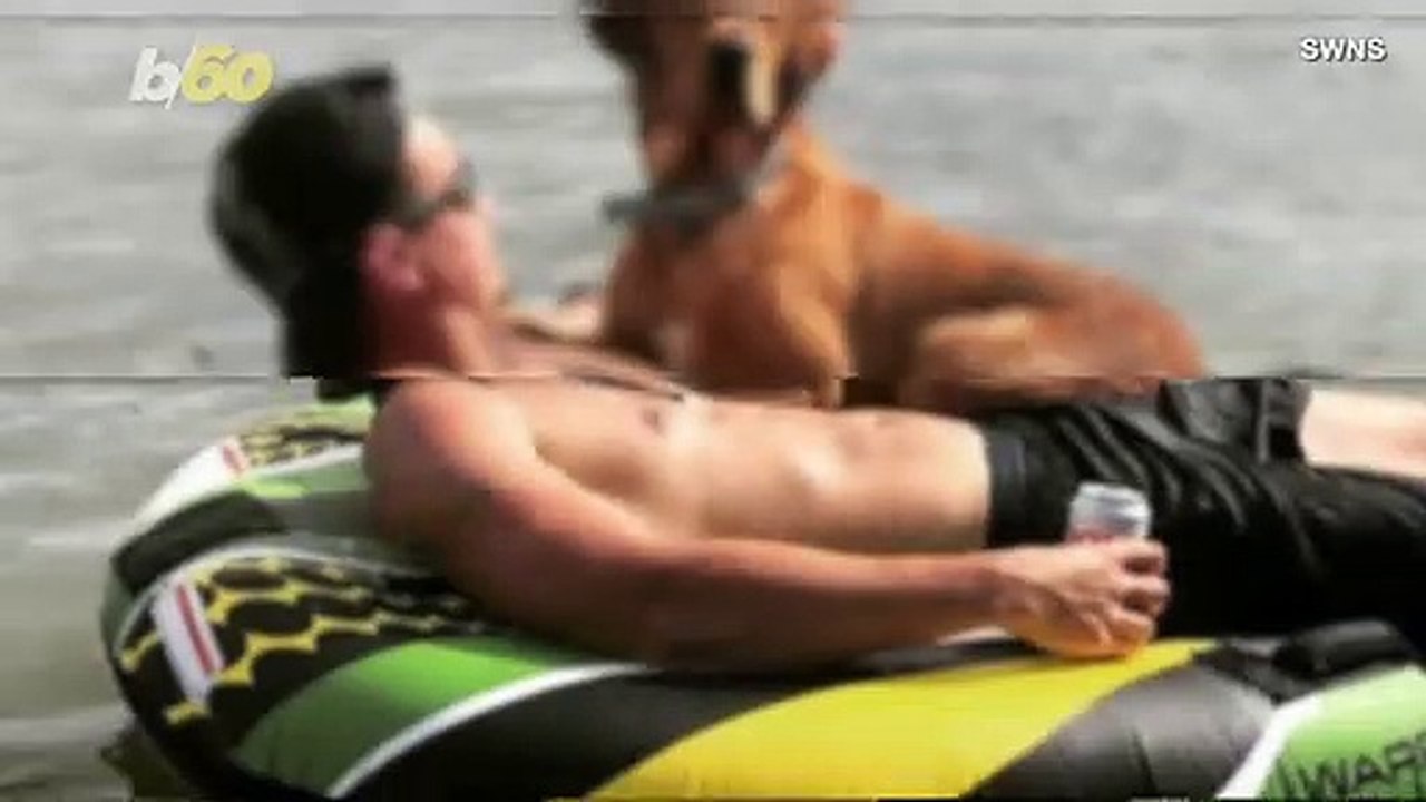 Grabbing a Beer and Recycling it After Are Just Some of the Many Cool Things This Dog Can Do