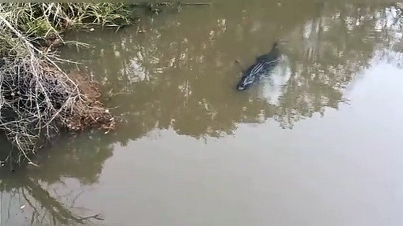 VID 20200607 WA0006