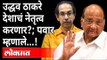 शरद पवार उद्धव ठाकरेंबद्दल काय म्हणाले? Sharad Pawar On Uddhav Thackeray | Maharashtra News