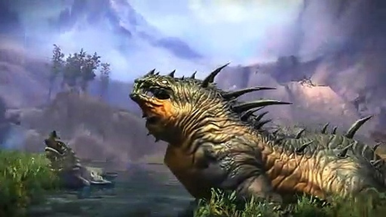 Guild Wars 2: Combate