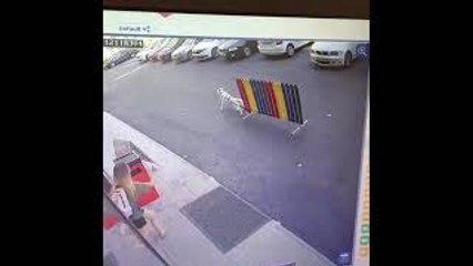 Strong Dog Doesn't Let Fence Slow it Down