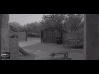 Doorbell Camera Catches Deer Running into Gate Pole