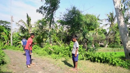 Día Internacional de la Paz: celebración y curiosidades