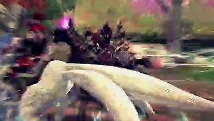 RaiderZ The Art of Combat: Founder&#39;s Pack Trailer