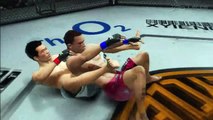 UFC Undisputed 3: International Pack (DLC)