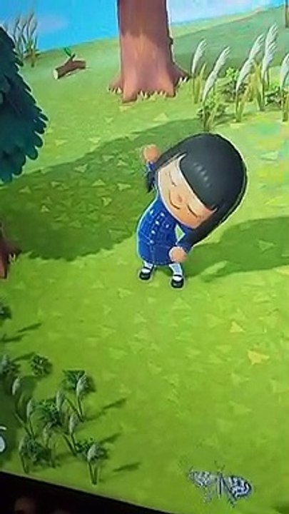 Animal Crossing New Horizons workout