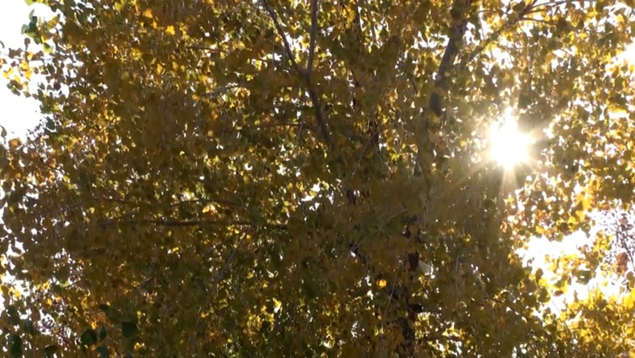 What is the fall equinox?