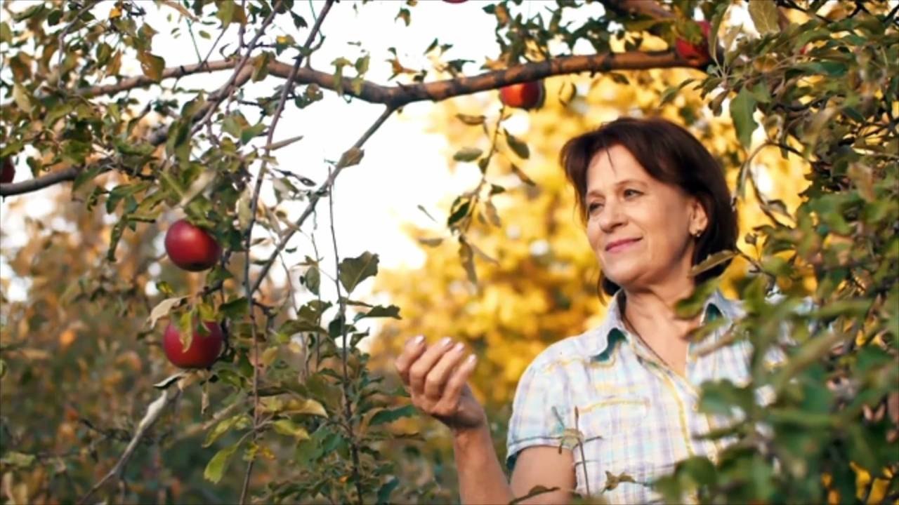 The South's Best Apple-Picking Orchards, According to Yelp Reviews