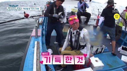 [예고] 영웅은 난세에 나타나는 법! 돌돔 전쟁이 시작된다!