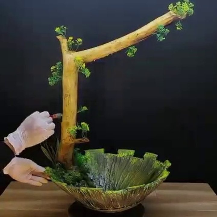 how to make a bonsai