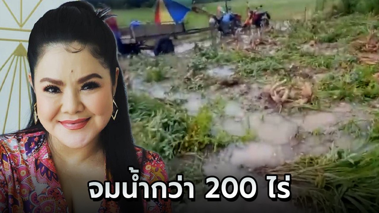 นึกว่าจะรอด ฮาย อาภาพร โพสต์คลิปน้ำท่วมนาข้าวไร...