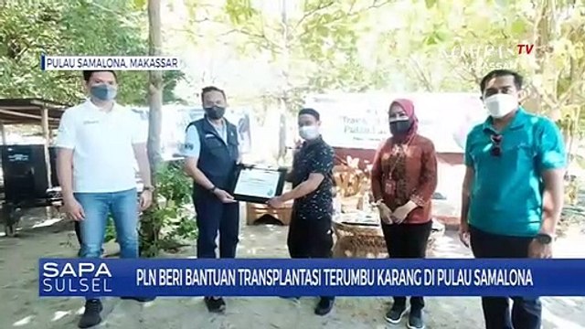 PLN Peduli Pelestarian Terumbu Karang di Pulau Samalona Sulawesi Selatan